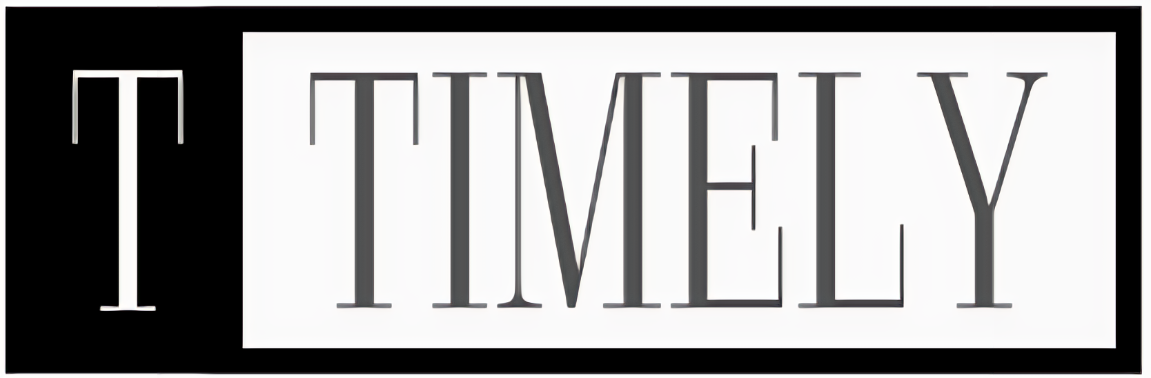 Timely Logo